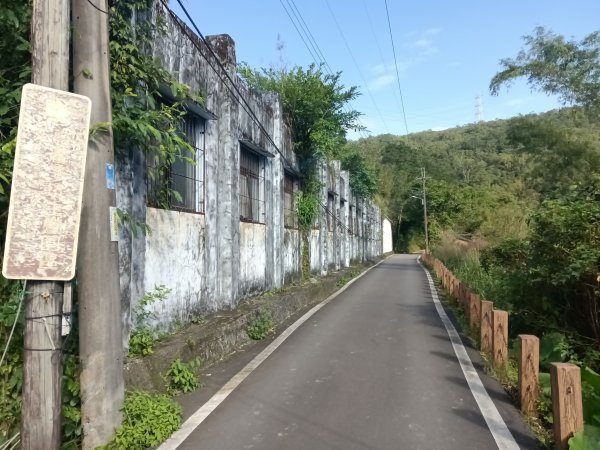 雙溪區東內平林山+上平林山+平林山去回2952461