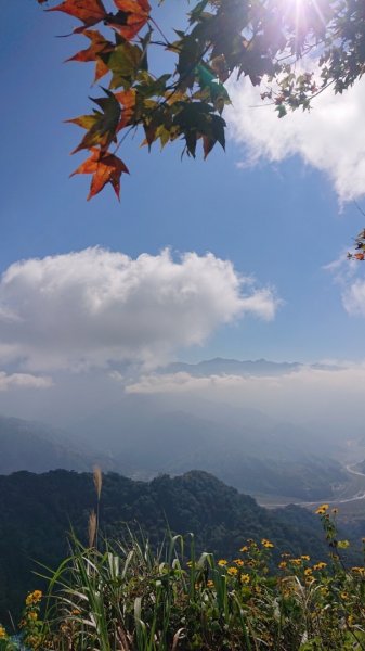 馬那邦山O走2370122