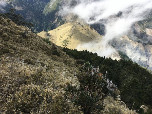 八通關山、八通關山西峰、秀姑巒山526154