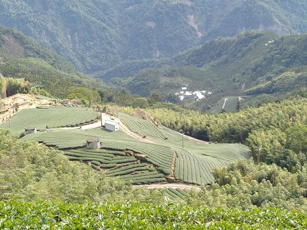 2020-2021 後棟仔 大尖山 二尖山1527160