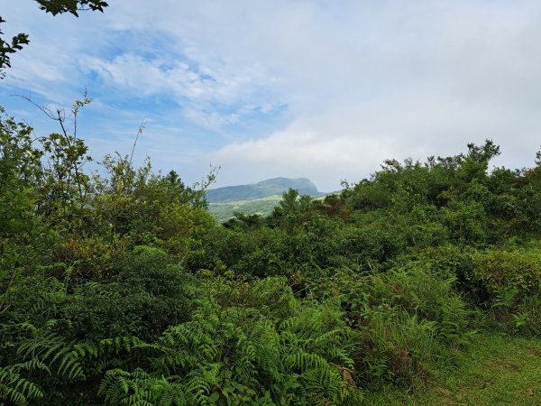 新北桃源谷步道（大溪線）3106370