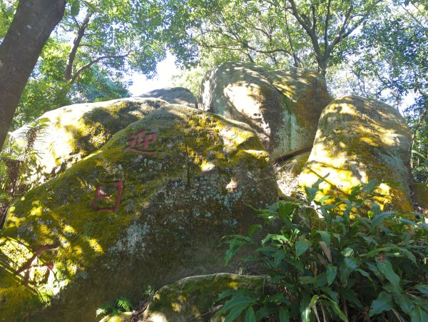 2026.01.25－微笑山線：【天上山系】烘爐地土地公段2994557