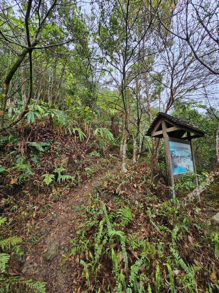 小百岳集起來-九份二山2184916