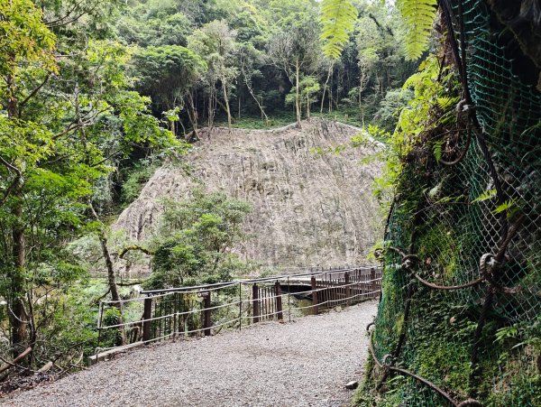 2025_0713 拉拉山神木群步道2837285