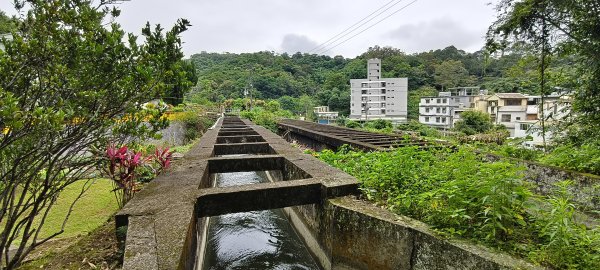 2026/05/10 竹東森林公園步道+樹杞林山O型3052529