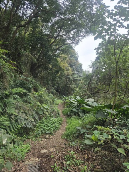 橫山健行，順遊清水岩寺2709409