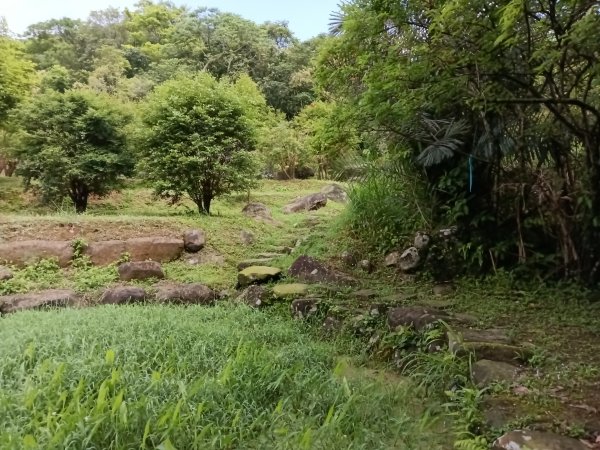 雙溪區三叉港+遠景古道+楊廷理古道+雞母嶺街O型2758627