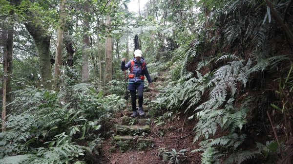 獵貍尖步道連走烏塗溪步道登山健行趣(淡蘭南路TK3-6&TK3-5&TK3-4)2404488