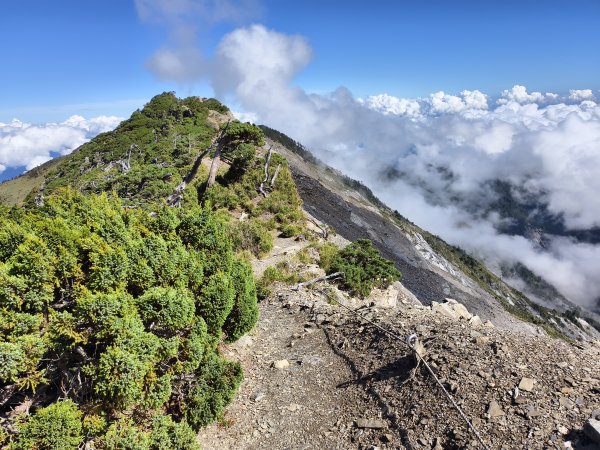 北一段(11/14)南湖北峰 2025_0906~132887328