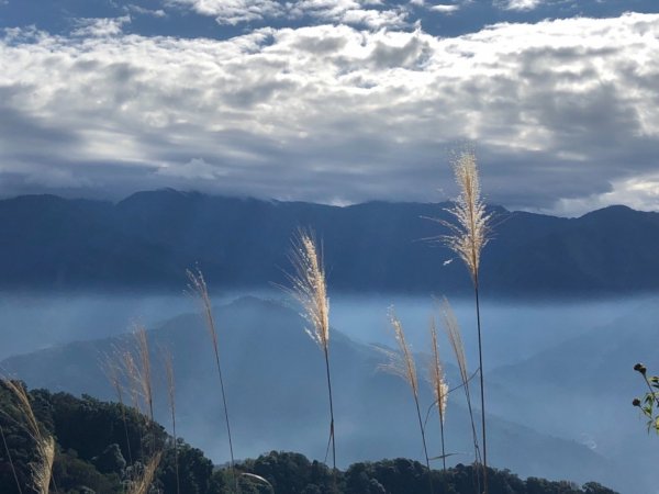 馬那邦山的山嵐楓紅511586