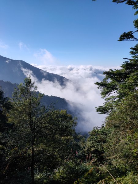 觀霧雲海山林之美2923632