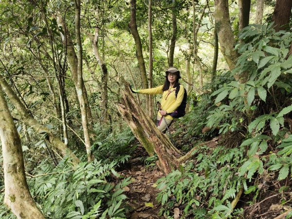 向天湖三山+ 南大龜山3012335