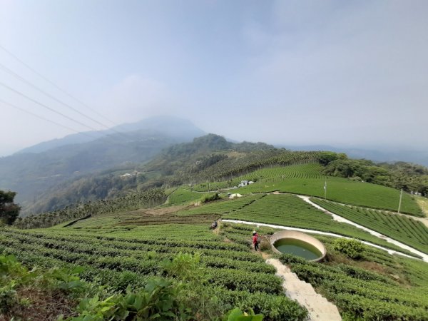 樟湖山、後棟仔山、大尖山、二尖山4山連走1337038