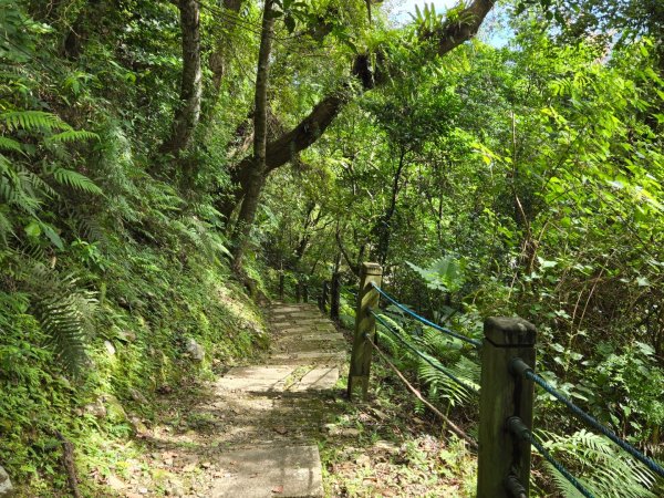 池南國家森林遊樂區2595265