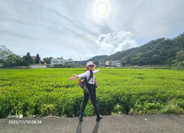 20251110竹北文山步道＆犁頭山稜線步道賞高鐵+大墩山柿園2934044