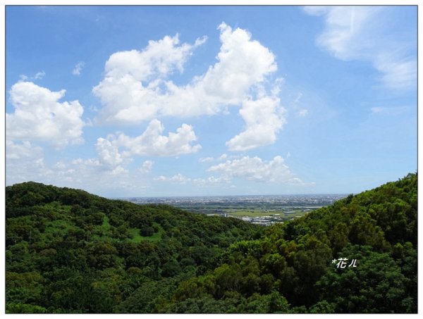 大肚環保公園登山步道1001364