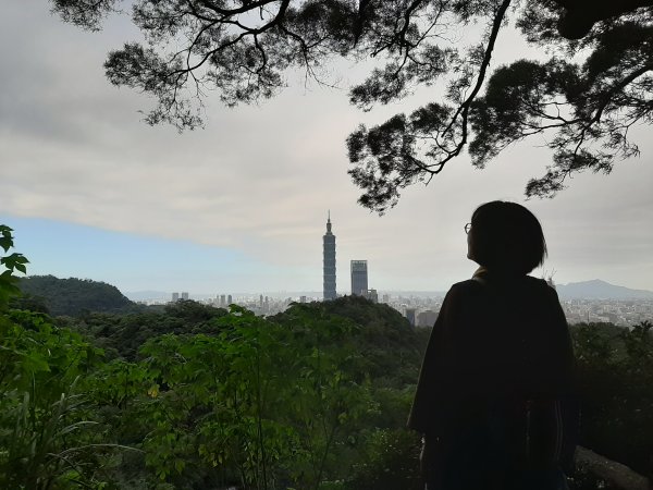 虎、豹、獅、象、九五峰、南港山、拇指山1145131