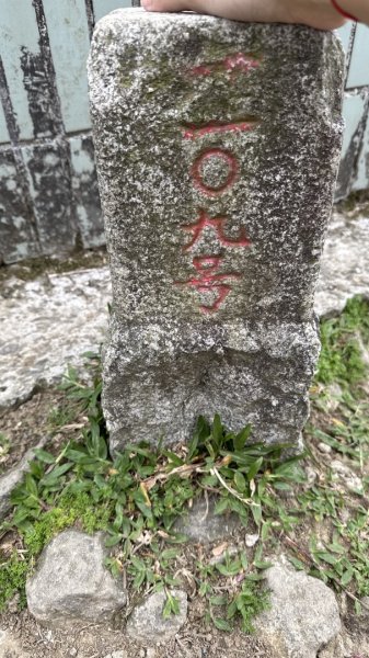 2025/04/19 小百岳第006基隆山2766357