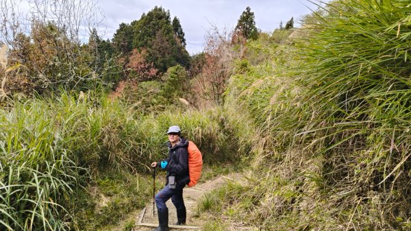 神阿縱走~台灣難抵極~大塔山2971501