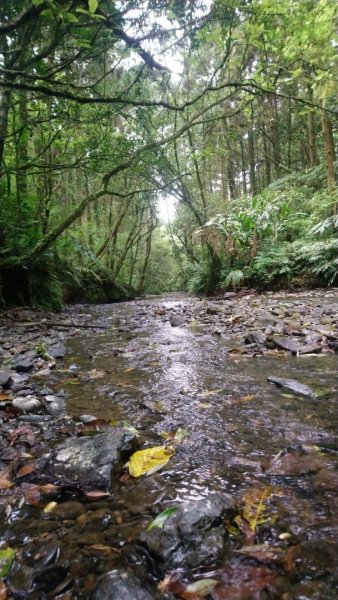 璀璨百年淡蘭古道～象寮古道、石空山、坪溪古道、梗枋古道O走1339398