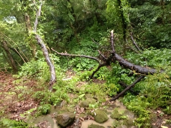 平溪區平溪子山遇雷雨O型2850158
