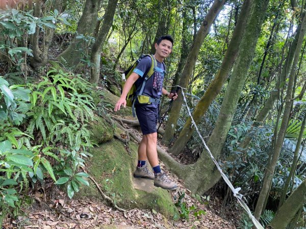 三峽-鳶山.彩壁.鳶尾山.鶯歌石【緊鄰山林的城市最幸福】1705201