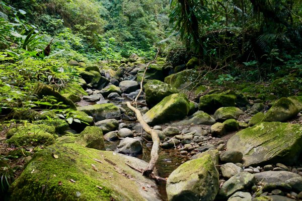 南坪古道：油羅溪上游814441