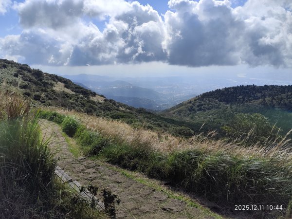 【臺北大縱走 2】【第二回合全程完成證書】鞍部→大屯山步道→大屯山主峰→大屯坪步道→二子坪步道2960340