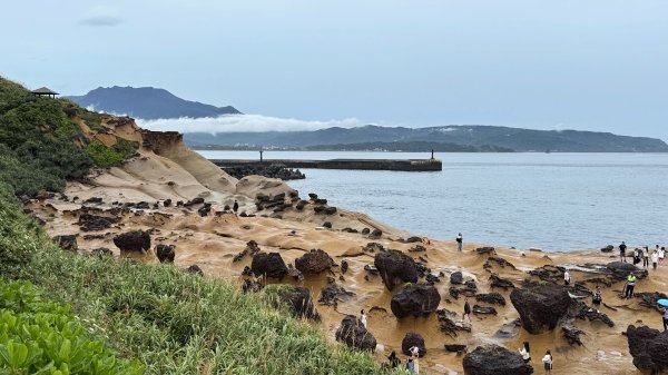 野柳地質公園、野柳岬山步道202507212863849