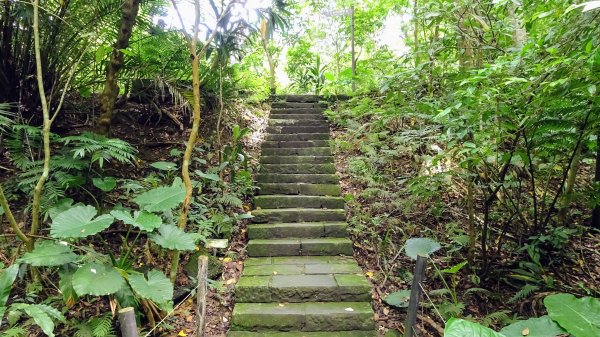 福州山,中埔山,黎和生態公園2234123