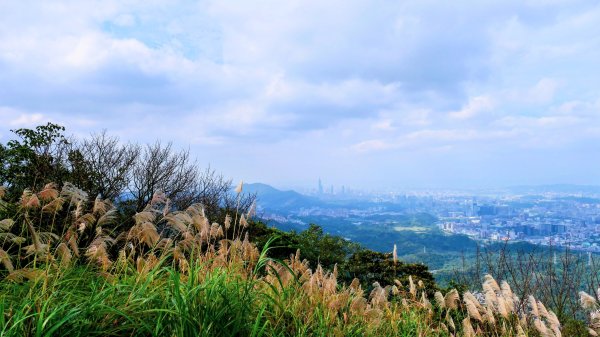 你若來汐止2961409