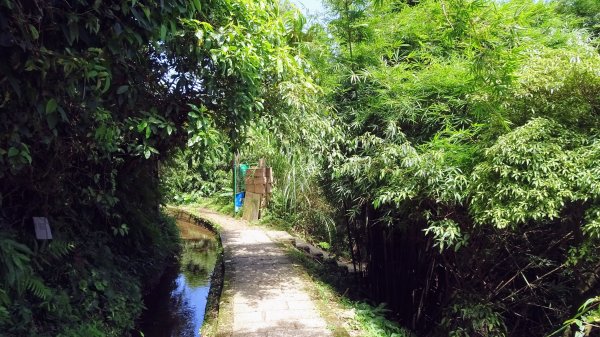 大崎頭步道,坪頂古圳,內雙溪古道,後湖底溪古道2275587