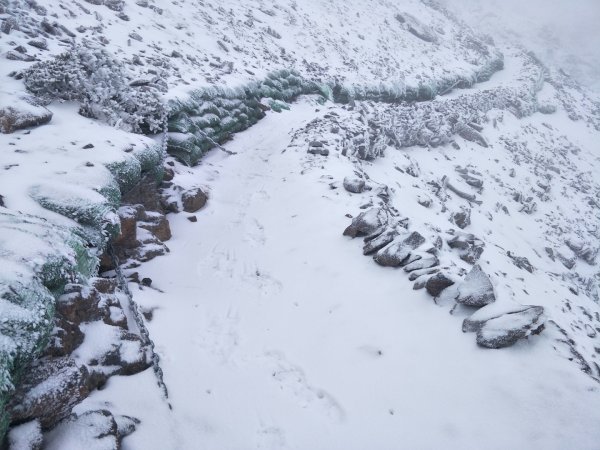 百岳:玉山南峰_雪季1575111