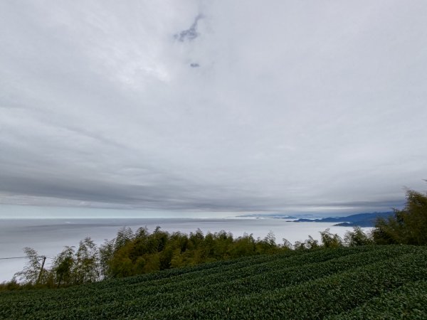 雲嘉大尖山2701283