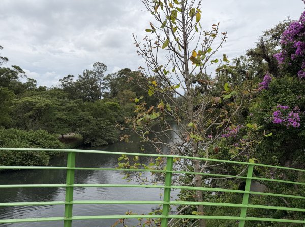 [紐約馬之行-69] 2025_1116 伊比拉布埃拉公園-下2955185