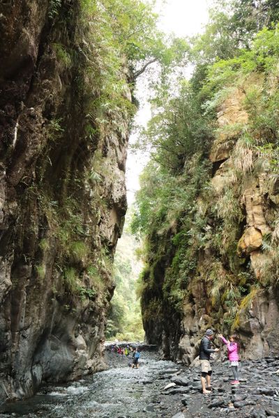 當白雲飄進山谷~武界原鄉之旅222381