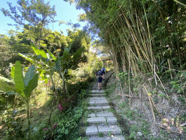 內雙溪的消暑密碼｜走一趟坪頂古圳就懂2873113