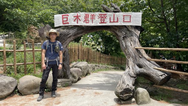 走入清晨19度c的上帝部落>>司馬庫斯(巨木群步道)1767461