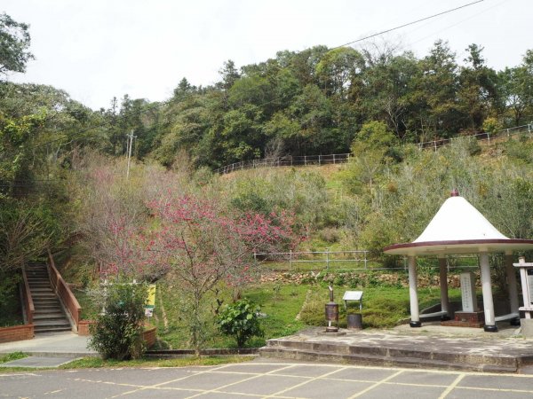 南投魚池貓囒山步道20200216838307