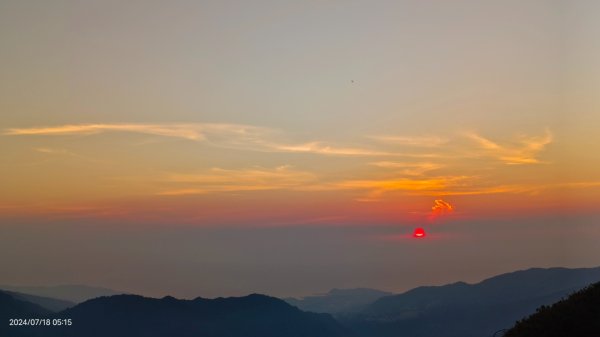 雲山水花鳥蝶 - 天龍國阿伯的日常7/18 & 21、22、292553978