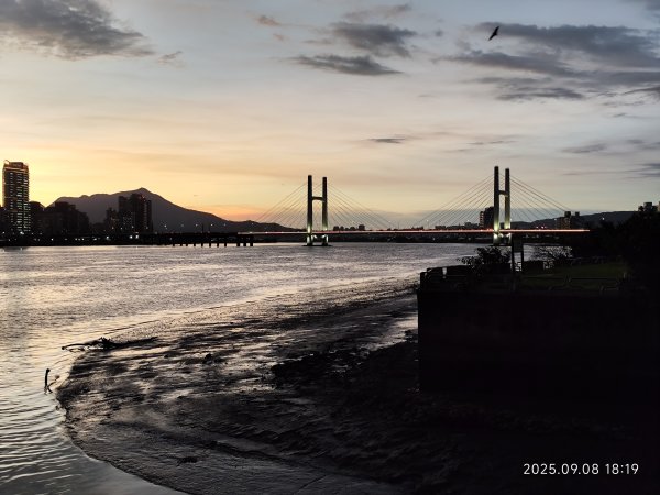 【臺北大縱走 8】萬壽橋頭(木柵)公車站→捷運關渡站［河濱自行車道］2882009