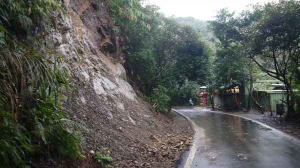 暖東舊道登山健行趣(淡蘭中路TK2-3)1616717