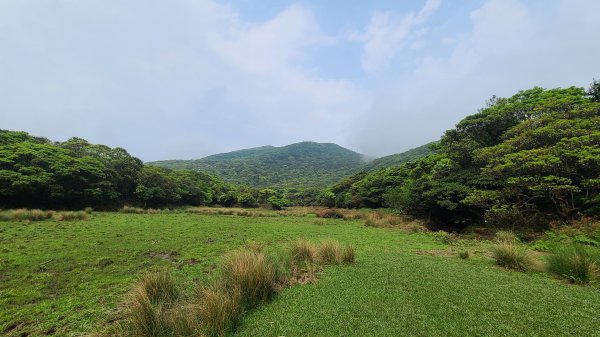 陽明山國家公園-磺嘴山、翠翠谷生態保護區1415951