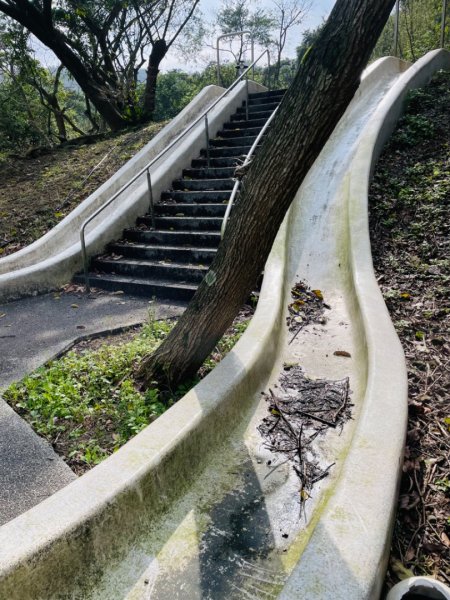 蛇來運轉-蛇子行古道-三爪坑山-蛇子崙山O2706689