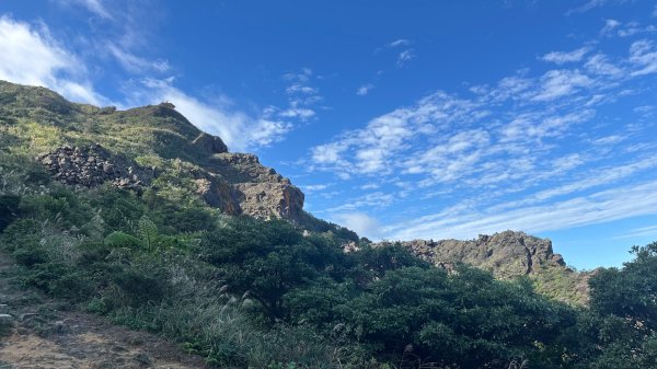 黃金三稜賞芒花2950870