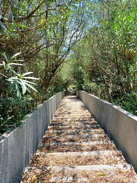 【馬祖北竿】親民步道好視野。 馬祖播音站x尼姑山x龍貓隧道x坂里天后宮x短波山40高砲步道1865260