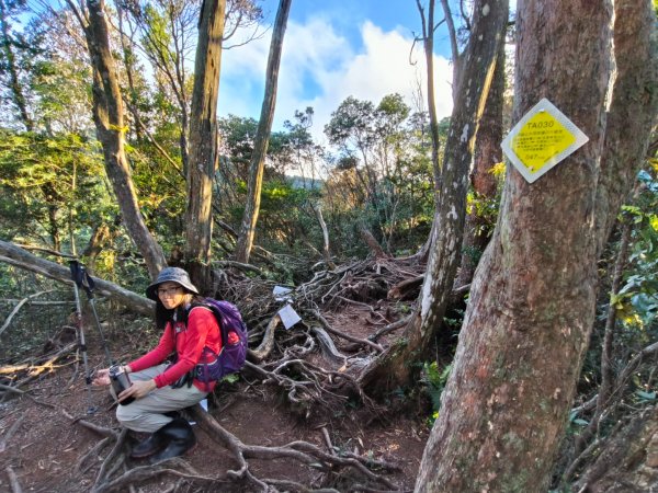 1121125 鳥嘴山縱走貴妃山2363990