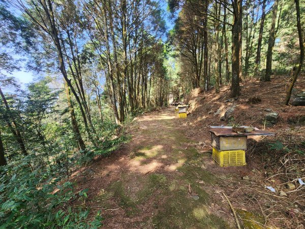 20260321貓頭山西關刀山能高瀑布O型3043807