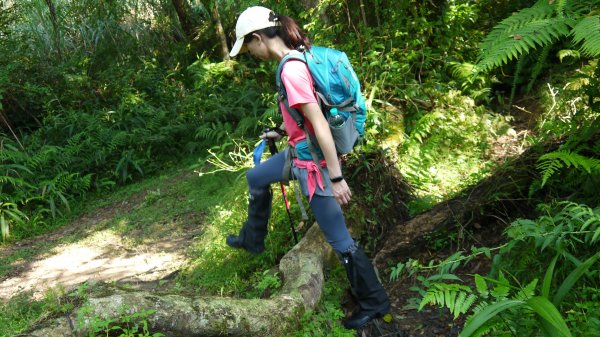 松蘿湖單攻登山健行趣（步道）1522163