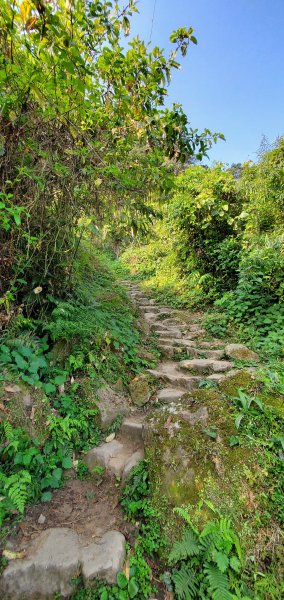 2023-03-12馬那邦山登山步道2065824